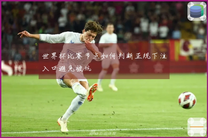 世界杯比赛节点如何判断正规下注入口避免被坑