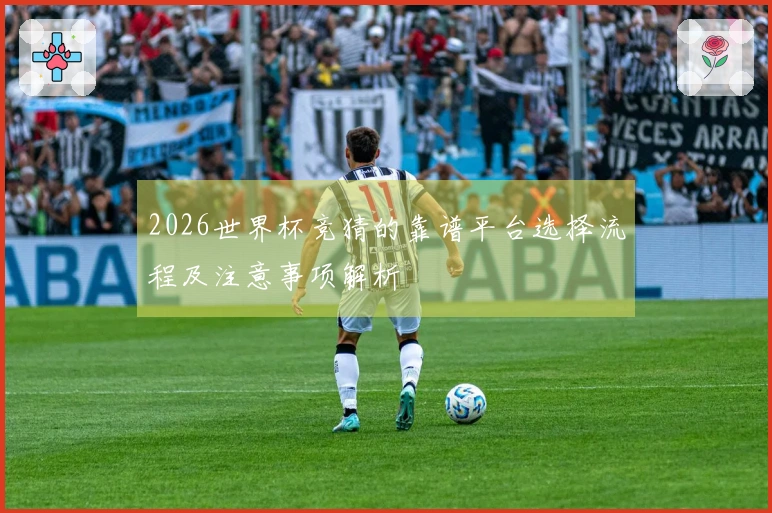 2026世界杯竞猜的靠谱平台选择流程及注意事项解析