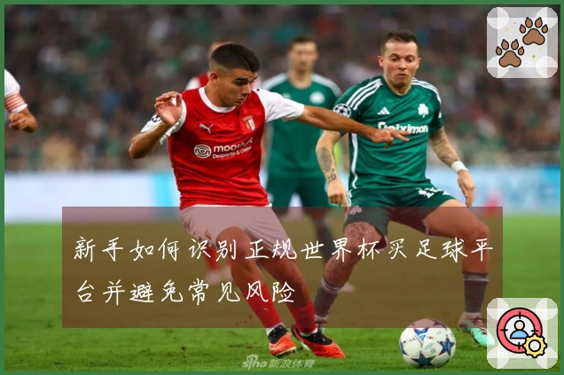 新手如何识别正规世界杯买足球平台并避免常见风险