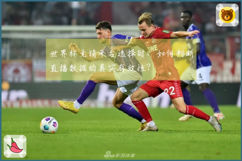 世界杯竞猜平台选择时，如何判断直播数据的真实有效性？