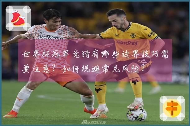 世界杯冠军竞猜有哪些边界技巧需要注意？如何规避常见风险？